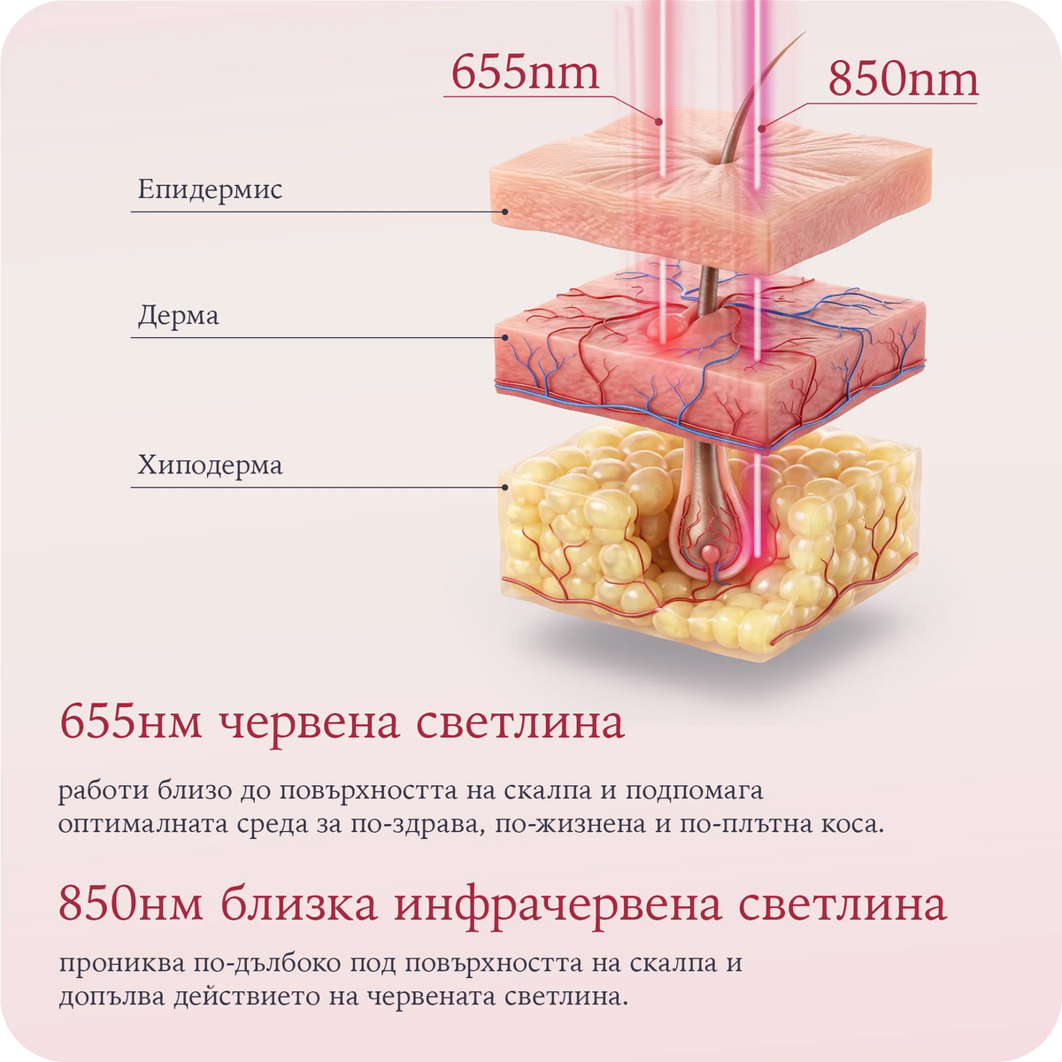 LEDEN8 - LED четка с червена светлина за по-гъста и здрава коса – снимка 3